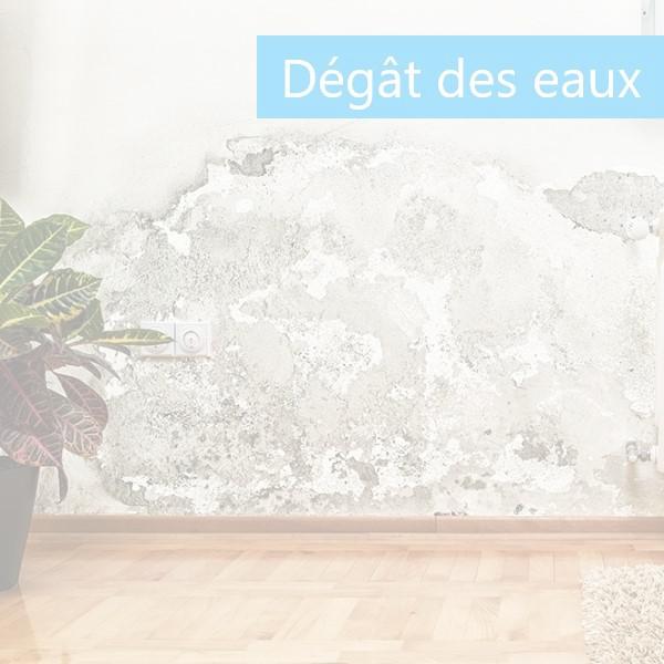 Dégat des eaux