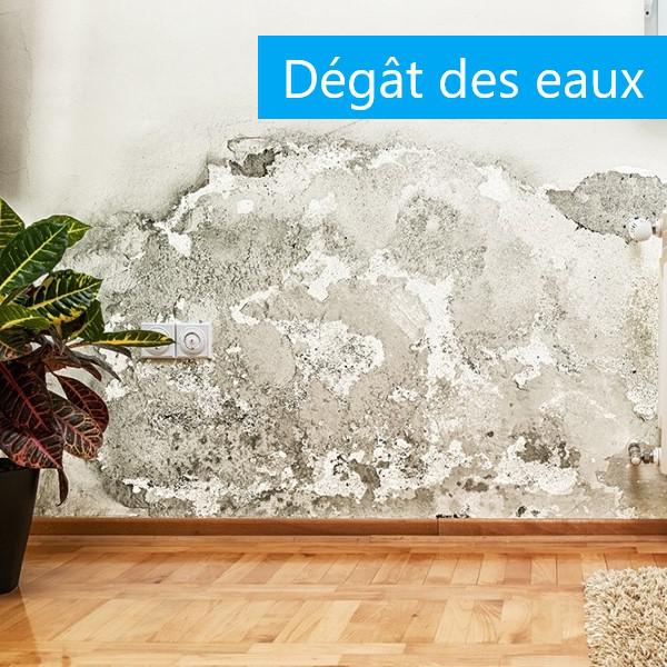 Dégat des eaux
